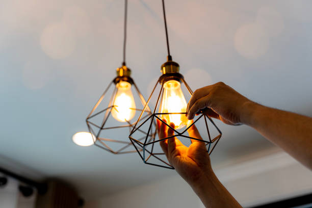 Best Residential Electrician Services  in Roscoe, TX