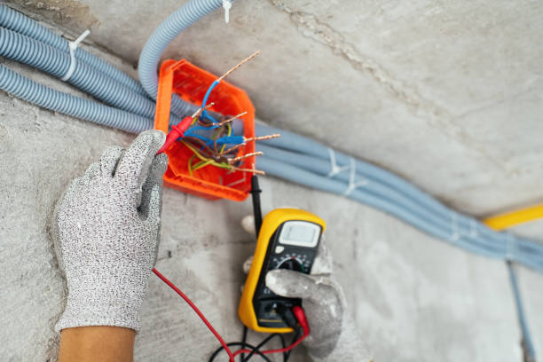 Best Electrician for Home Renovation  in Roscoe, TX